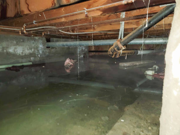 Best Fire Damage Restoration  in Saratoga Springs, NY