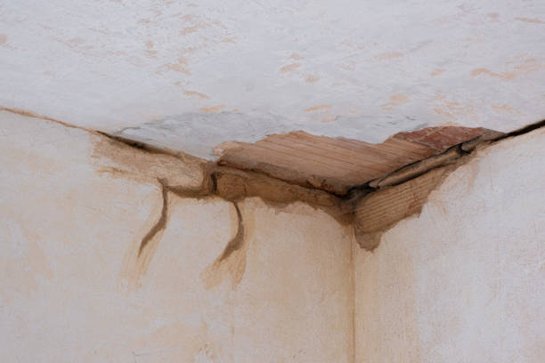 Best Basement water damage restoration  in Saratoga Springs, NY