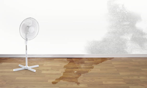 Best Sewage cleanup and water damage restoration  in Saratoga Springs, NY