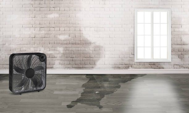 Best Sewage cleanup and water damage restoration  in Saratoga Springs, NY