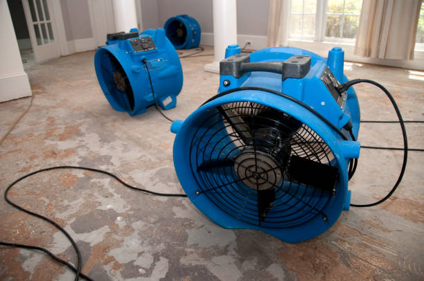 Best Water damage contractors near me  in Saratoga Springs, NY
