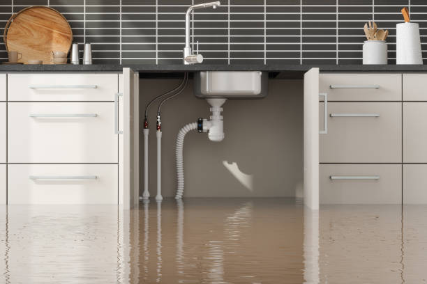 Best Fire Damage Restoration  in Saratoga Springs, NY